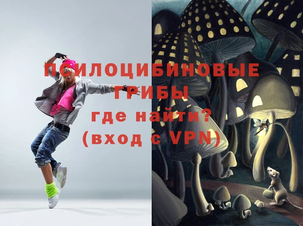 прущий лед Щигры