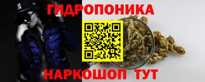 гидра Пенза