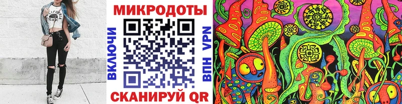 Псилоцибиновые грибы Psilocybe  Прокопьевск 