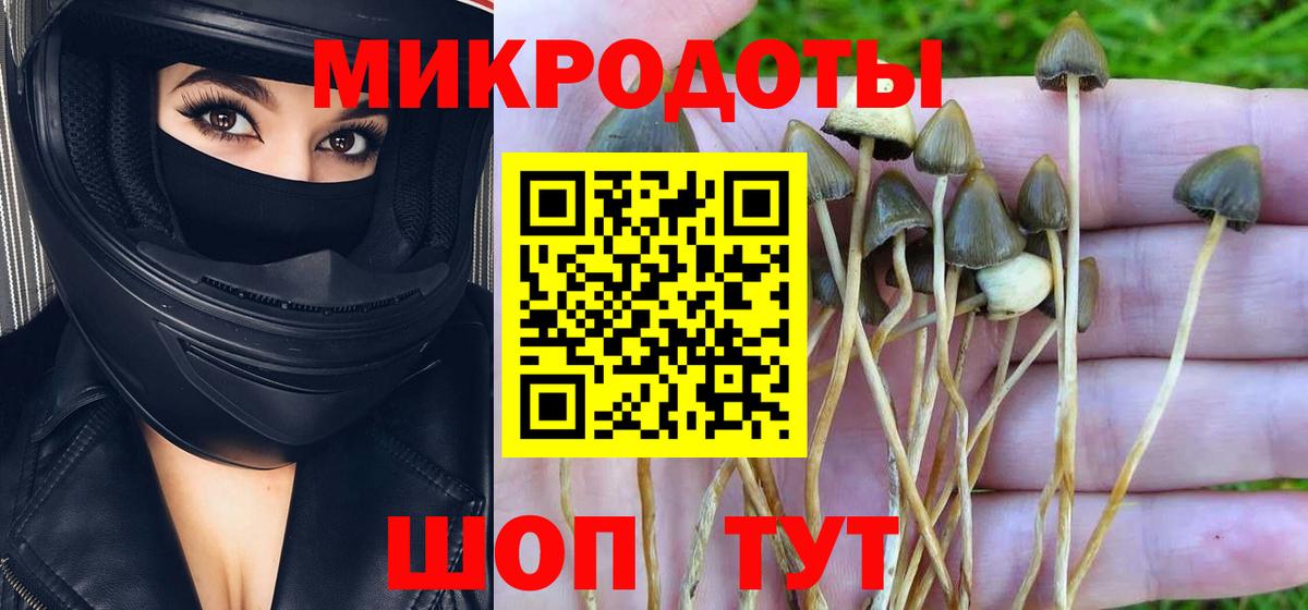 Псилоцибиновые грибы MAGIC MUSHROOMS  Вход с VPN  Прокопьевск 