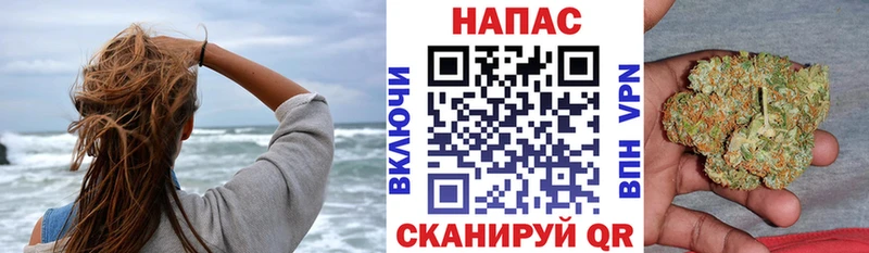 Конопля планчик  купить закладку  Прокопьевск 